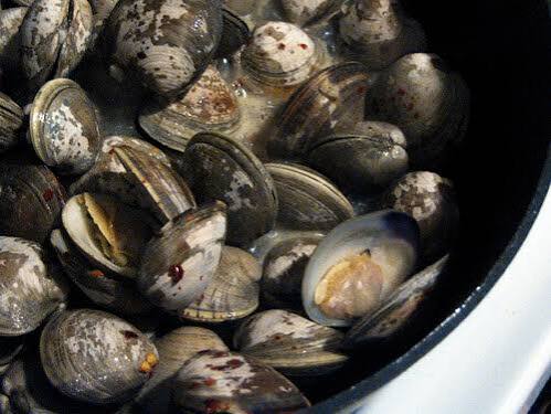 Hepatitis A outbreak Frozen Clams